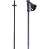 Salomon X10 Ergo S3, bâtons de ski, noir/bleu