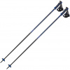 Salomon X10 Ergo S3, bâtons de ski, noir/bleu