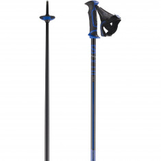 Salomon X10 Ergo S3, ski poles, black/blue