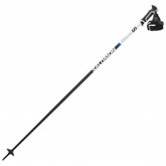 Salomon X10 Ergo S3, ski poles, black/white
