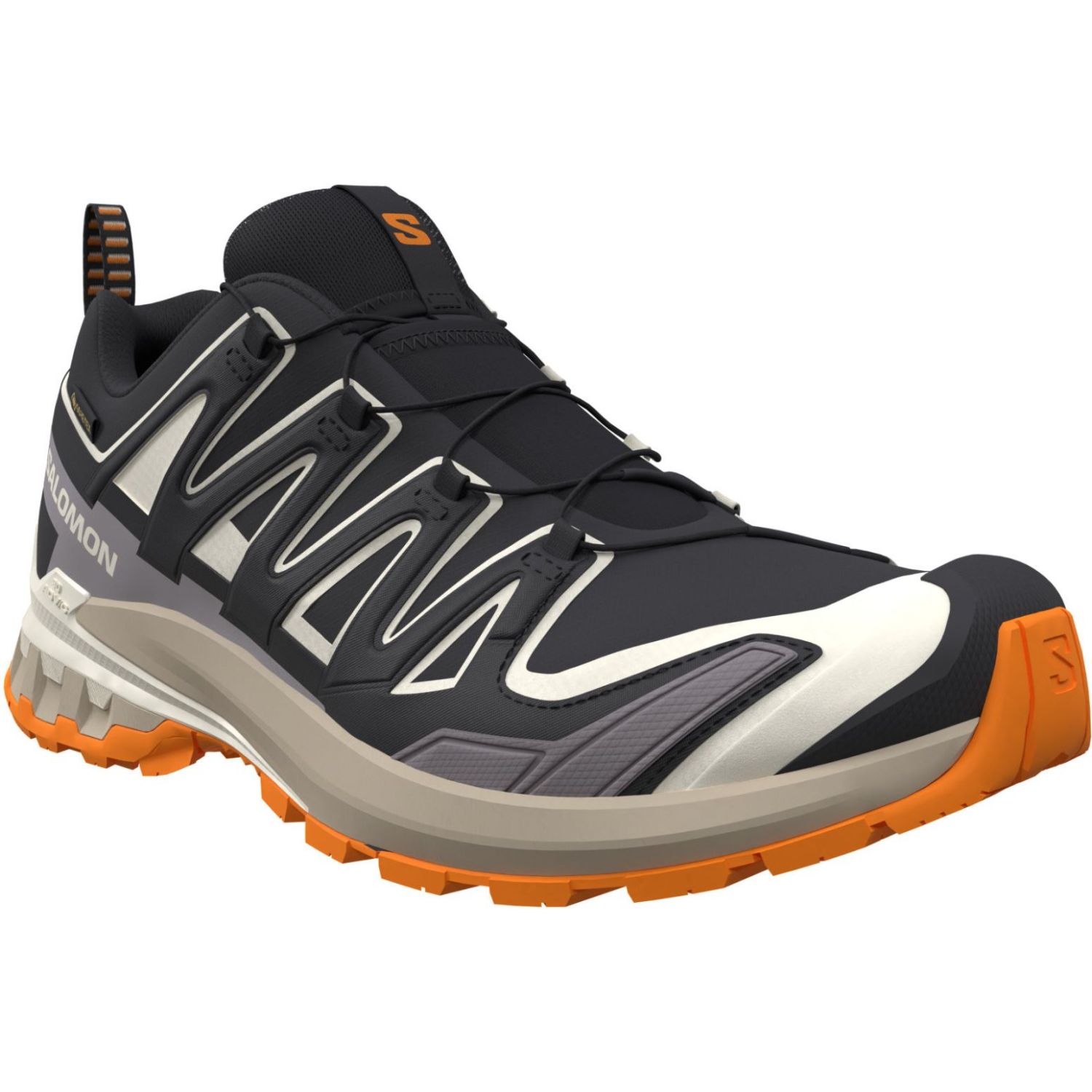 Salomon XA Pro 3D V9 GTX, buty trailowe, męskie, czarne
