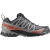Salomon XA Pro 3D V9 GTX, calçado de trail, homem, cinzento/vermelho