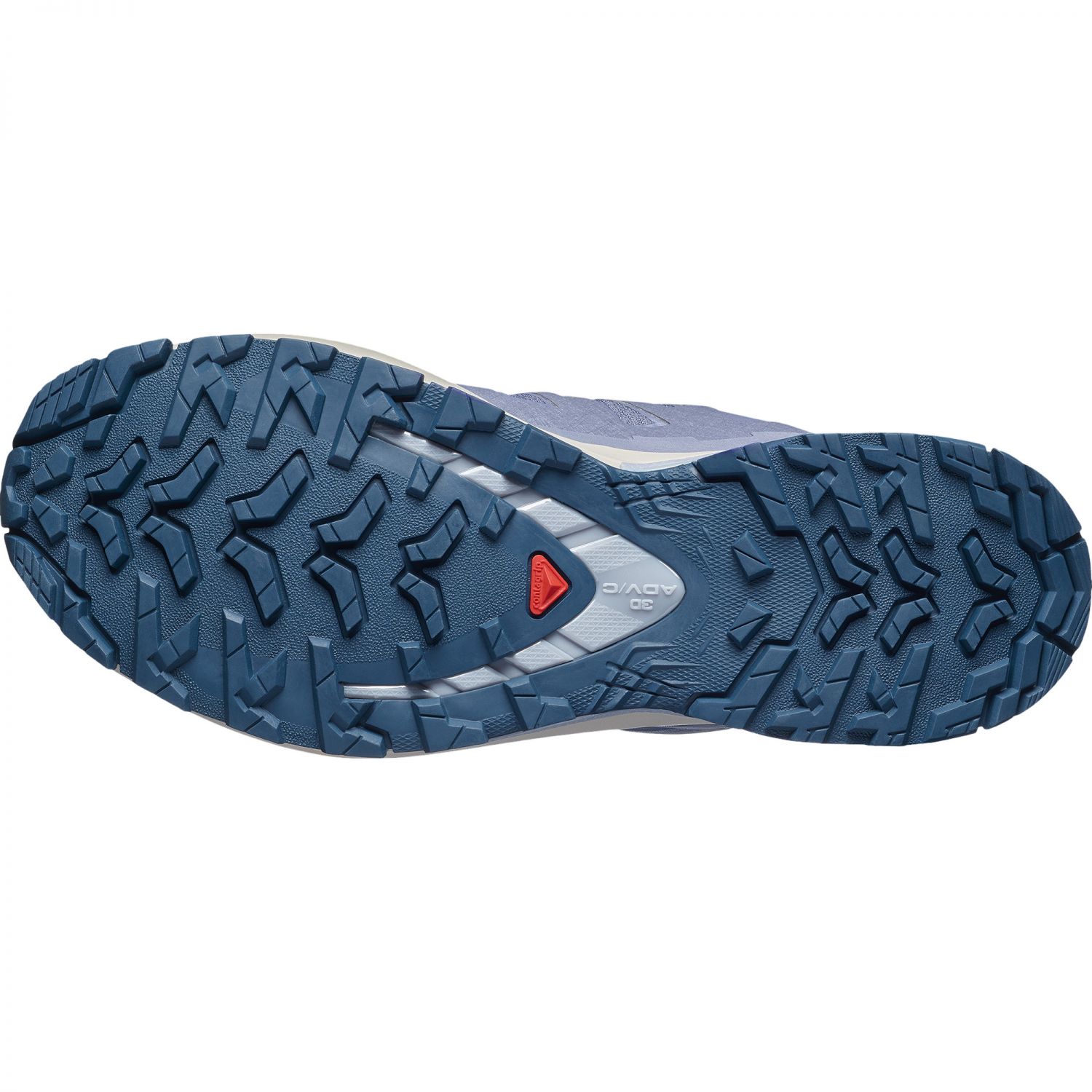 Salomon XA PRO 3D V9 GTX, calçado de trail, mulher, cinzento/azul