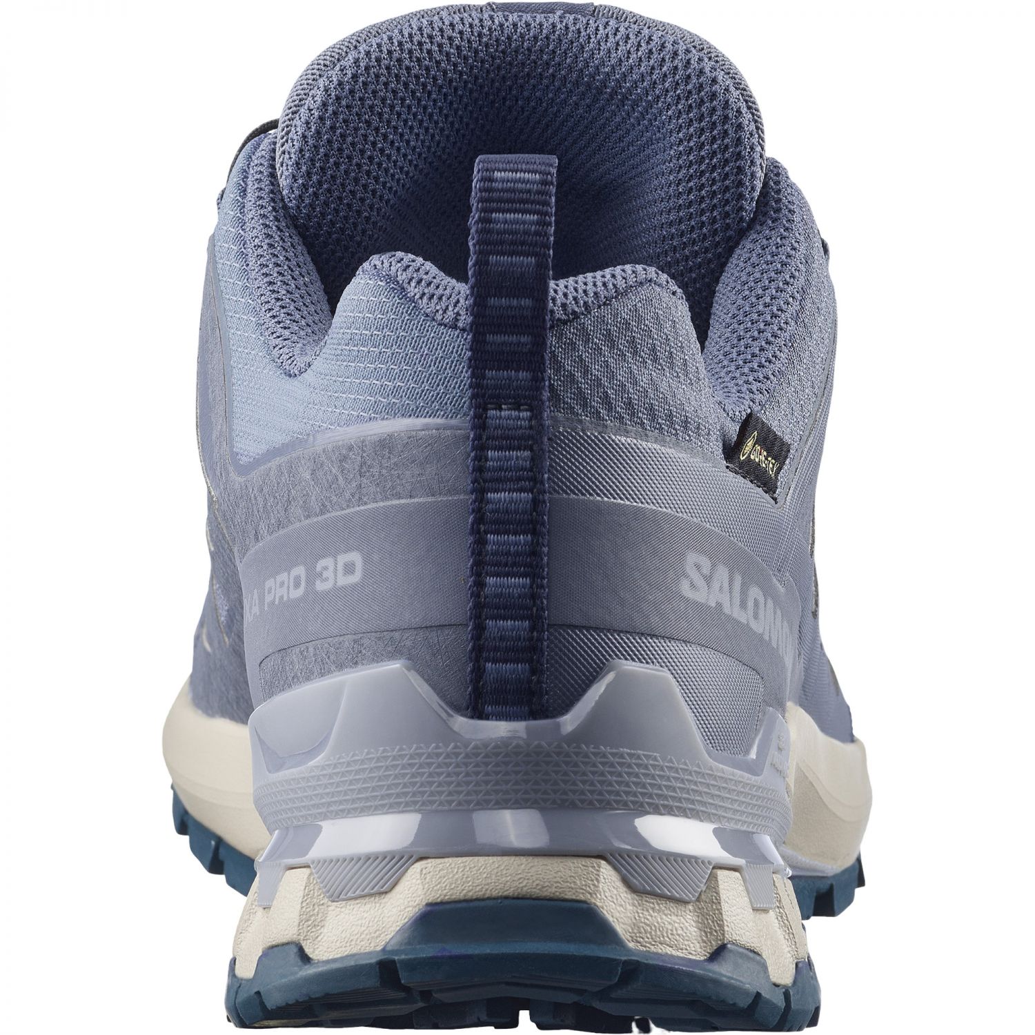 Salomon XA PRO 3D V9 GTX, calçado de trail, mulher, cinzento/azul