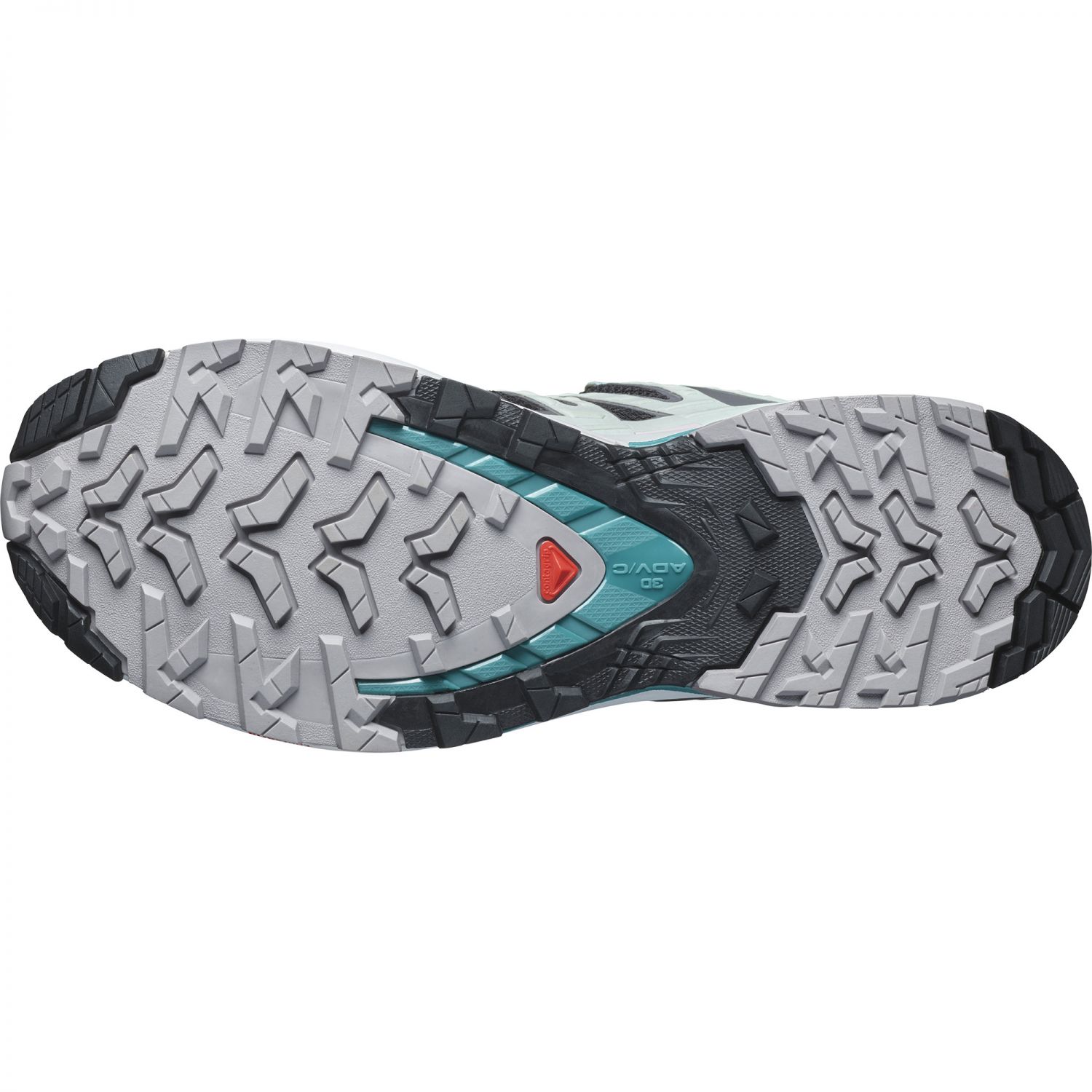 Salomon XA Pro 3D V9 GTX, chaussures de trail, femmes, gris/bleu clair