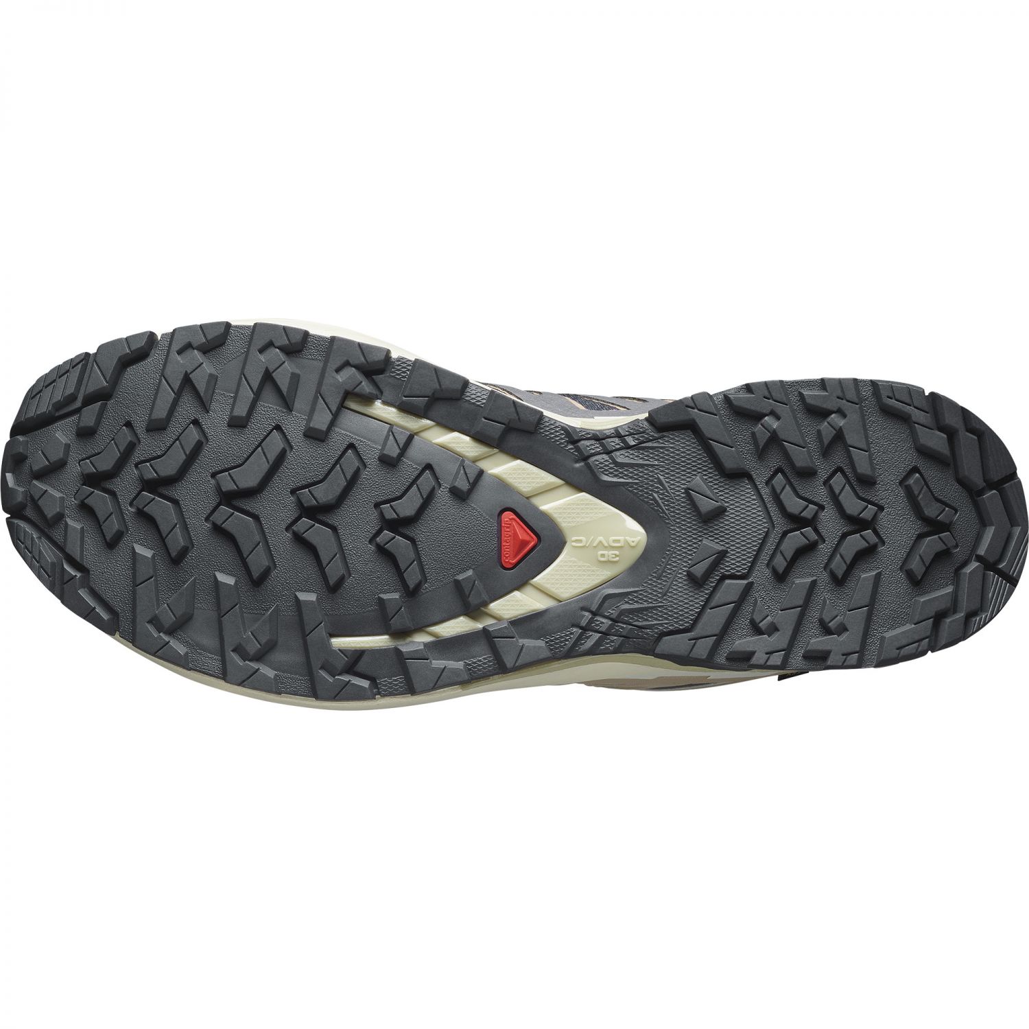 Salomon XA Pro 3D V9 GTX, hardloopschoenen, dame, paars