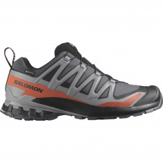 Salomon XA Pro 3D V9 GTX, pantofi de trail, bărbați, gri/roșu