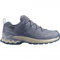 Salomon XA PRO 3D V9 GTX, pantofi de trail, femei, gri/albastru