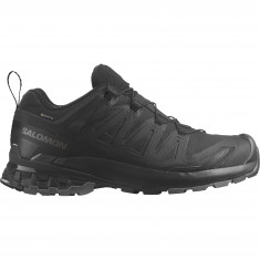 Salomon XA Pro 3D V9 GTX, polkujuoksukengät, nainen, musta/hopea
