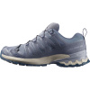 Salomon XA PRO 3D V9 GTX, scarpe da trail, donna, grigio/blu