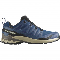 Salomon XA Pro 3D V9 GTX, trail shoes, men, poseidon/white pepper/falcon