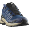 Salomon XA Pro 3D V9 GTX, trail shoes, men, poseidon/white pepper/falcon