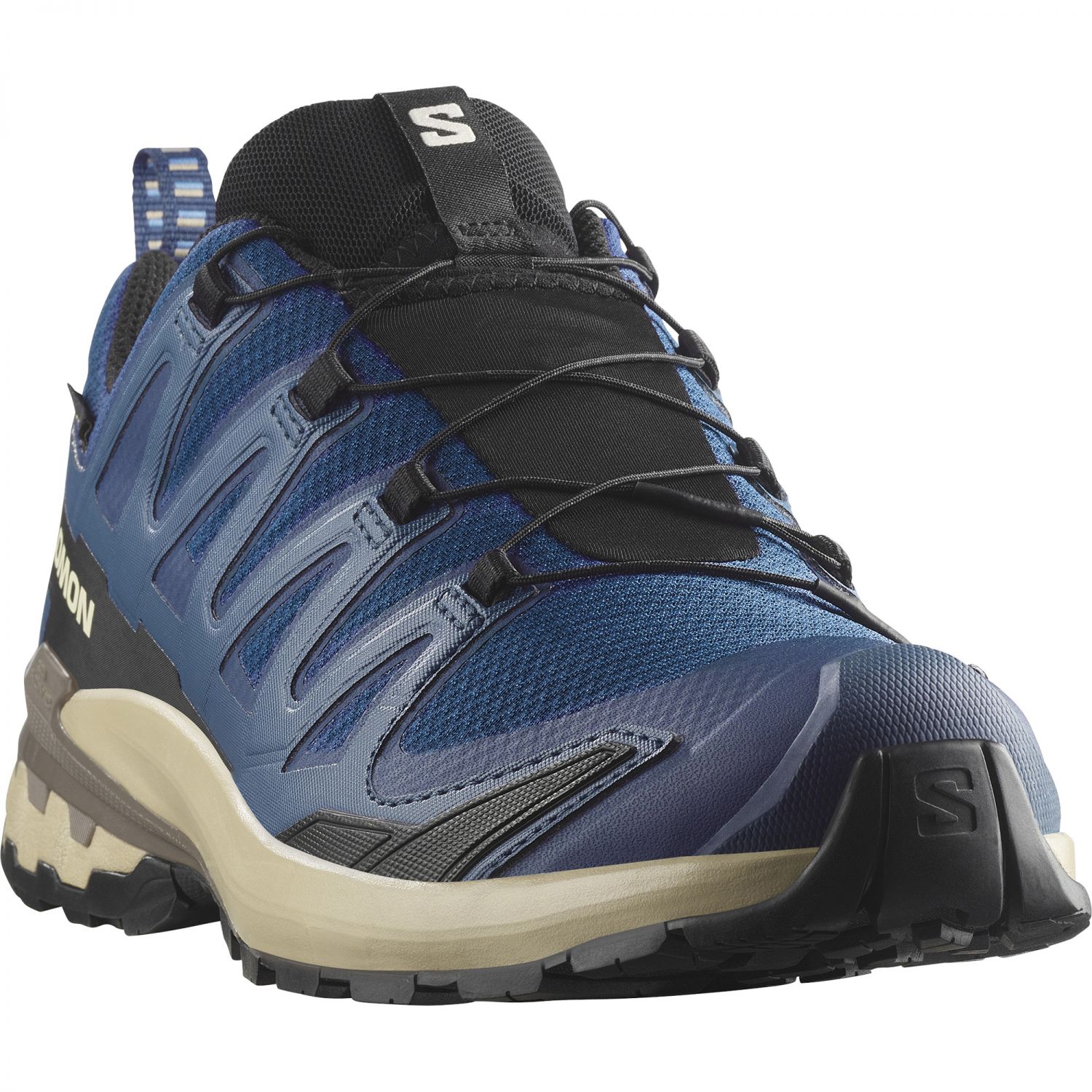 Salomon XA Pro 3D V9 GTX, trail shoes, men, poseidon/white pepper/falcon