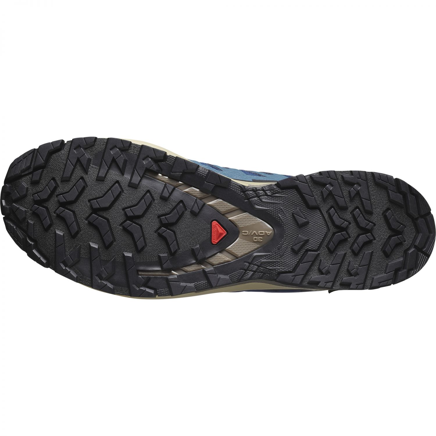 Salomon XA Pro 3D V9 GTX, trail shoes, men, poseidon/white pepper/falcon