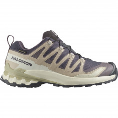Salomon XA Pro 3D V9 GTX, trail shoes, women, nine iron/oxford tan/alfalfa