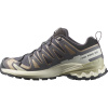 Salomon XA Pro 3D V9 GTX, trail shoes, women, nine iron/oxford tan/alfalfa