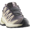 Salomon XA Pro 3D V9 GTX, trail shoes, women, nine iron/oxford tan/alfalfa
