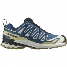 Salomon XA Pro 3D V9 GTX, trailová obuv, pánska, modrá