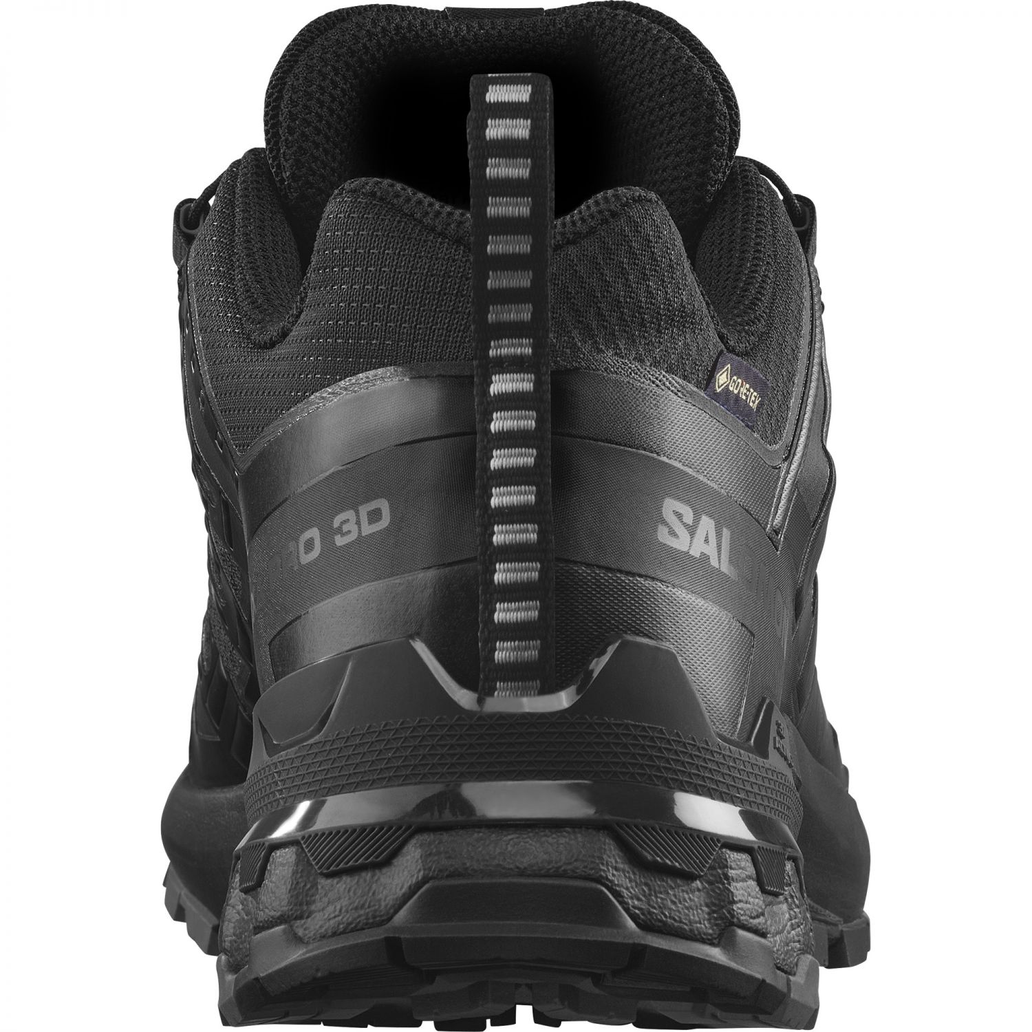 Salomon XA Pro 3D V9 GTX, trailové topánky, dámske, čierna/strieborná
