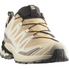 Salomon XA Pro 3D V9 GTX, Trailrunningschuhe, Damen, beige/weiß