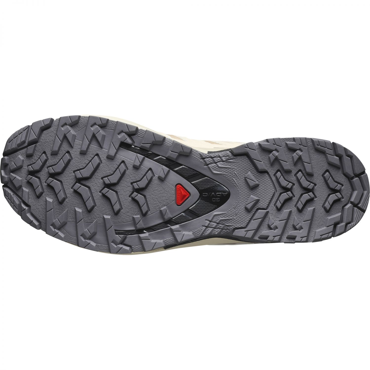 Salomon XA Pro 3D V9 GTX, Trailrunningschuhe, Damen, beige/weiß