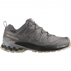 Salomon XA Pro 3D V9 GTX, Trailrunningschuhe, Damen, grau