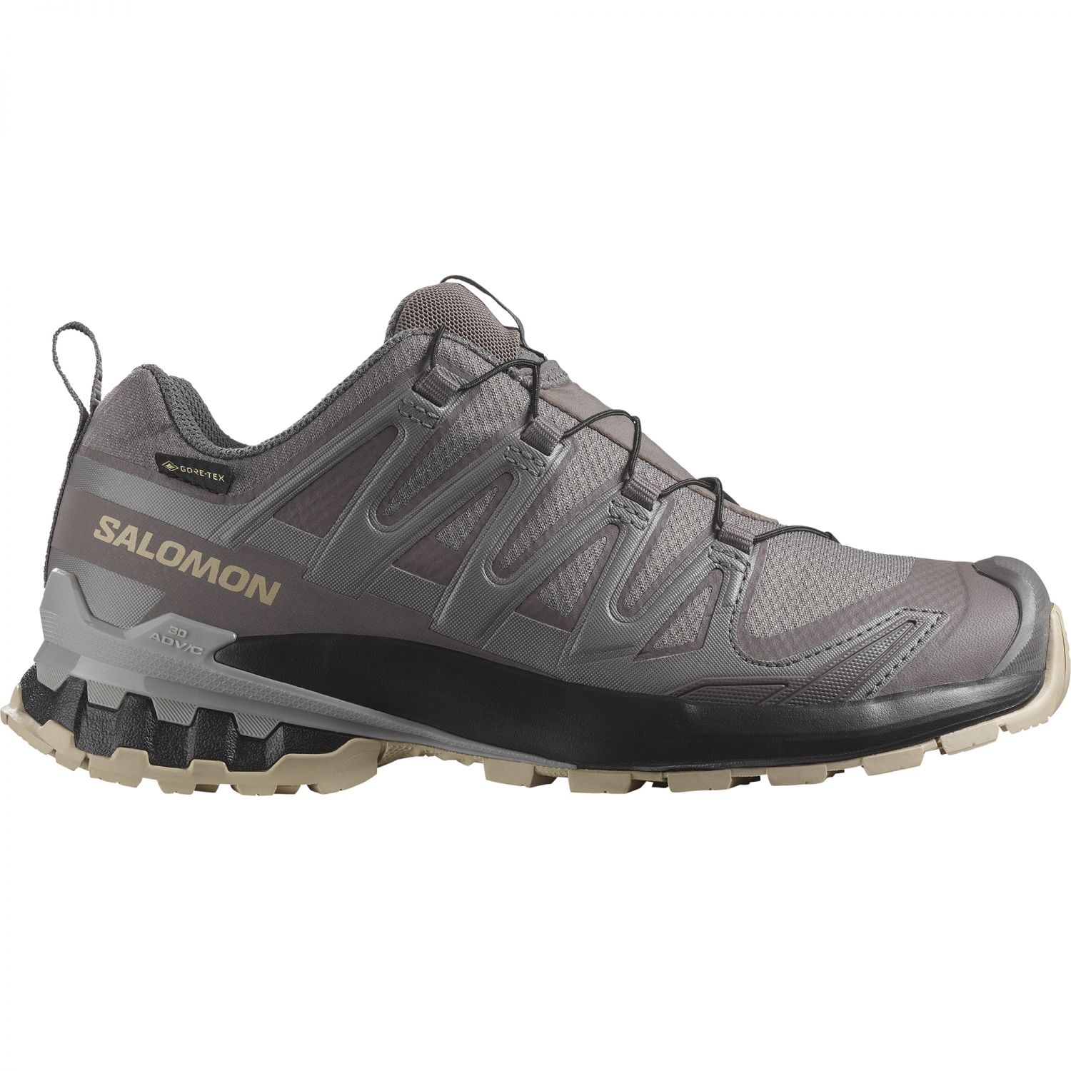 Salomon XA Pro 3D V9 GTX, Trailrunningschuhe, Damen, grau