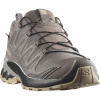 Salomon XA Pro 3D V9 GTX, Trailrunningschuhe, Damen, grau