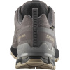 Salomon XA Pro 3D V9 GTX, Trailrunningschuhe, Damen, grau