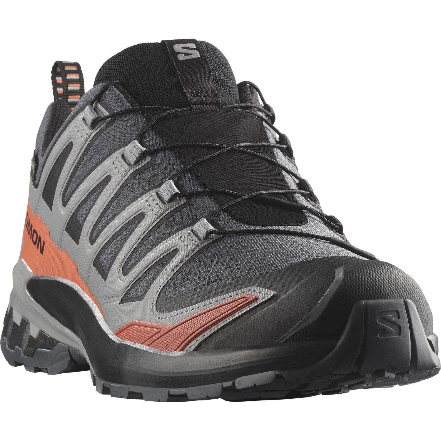 Salomon XA Pro 3D V9 GTX, Trailrunningschuhe, Herren, grau/rot