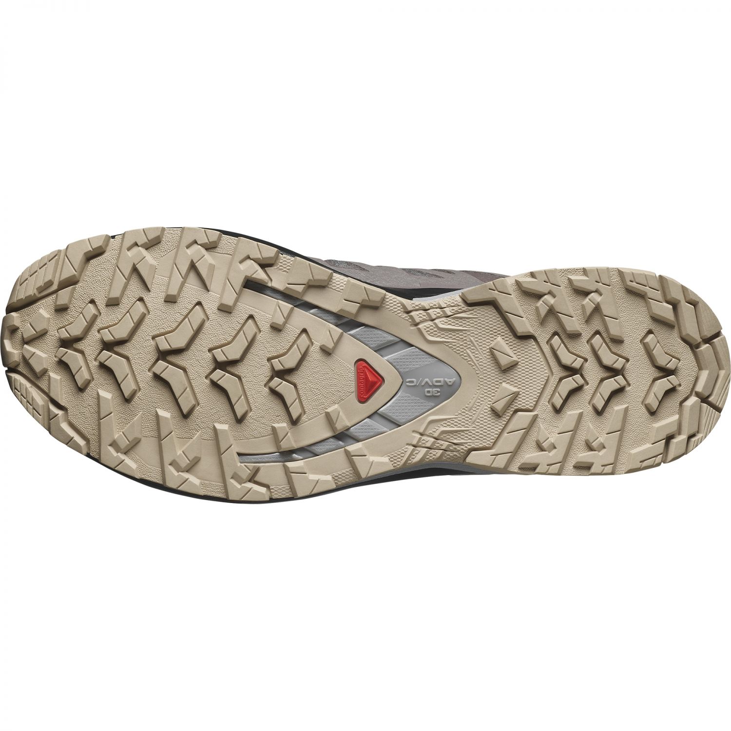 Salomon XA Pro 3D V9 GTX, trailschoenen, dames, grijs