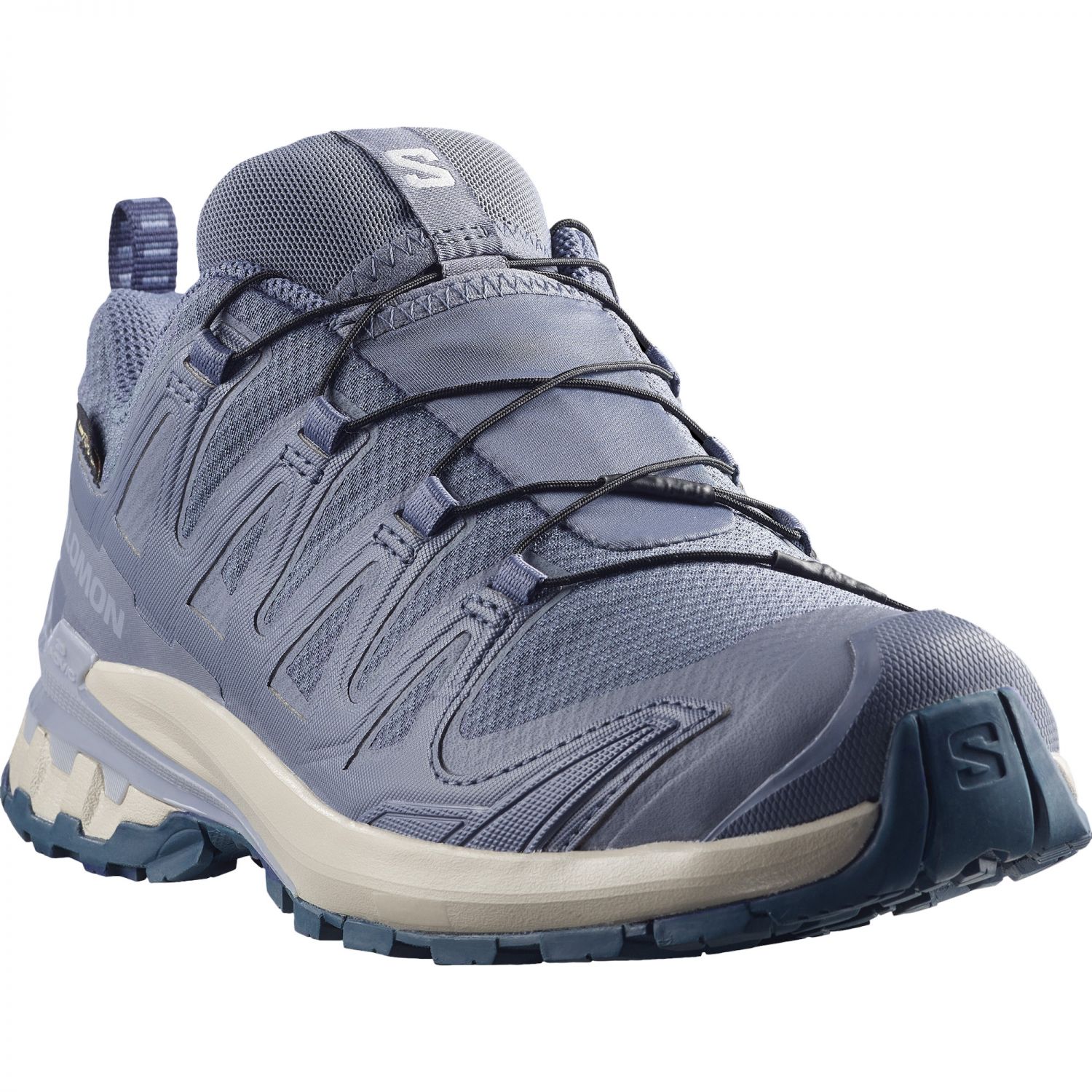 Salomon XA PRO 3D V9 GTX, trailsko, dame, grå/blå