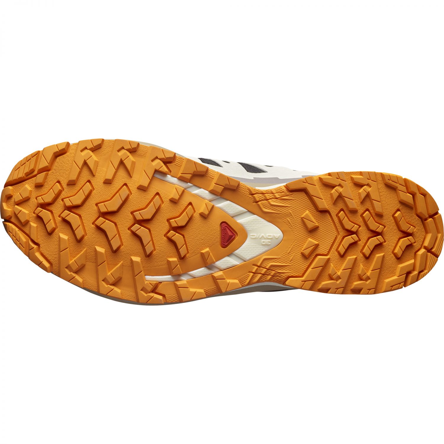 Salomon XA Pro 3D V9 GTX, trailsko, homem, preto