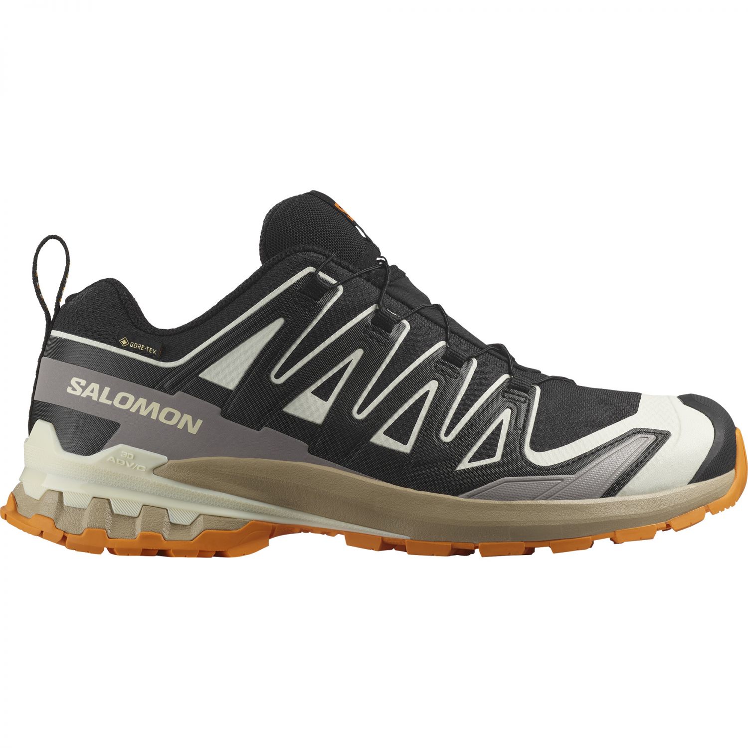 Salomon XA Pro 3D V9 GTX, trailsko, homem, preto