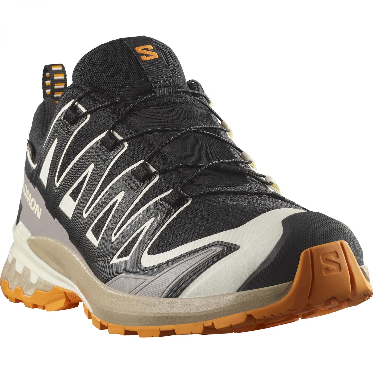 Salomon XA Pro 3D V9 GTX, trailsko, homem, preto