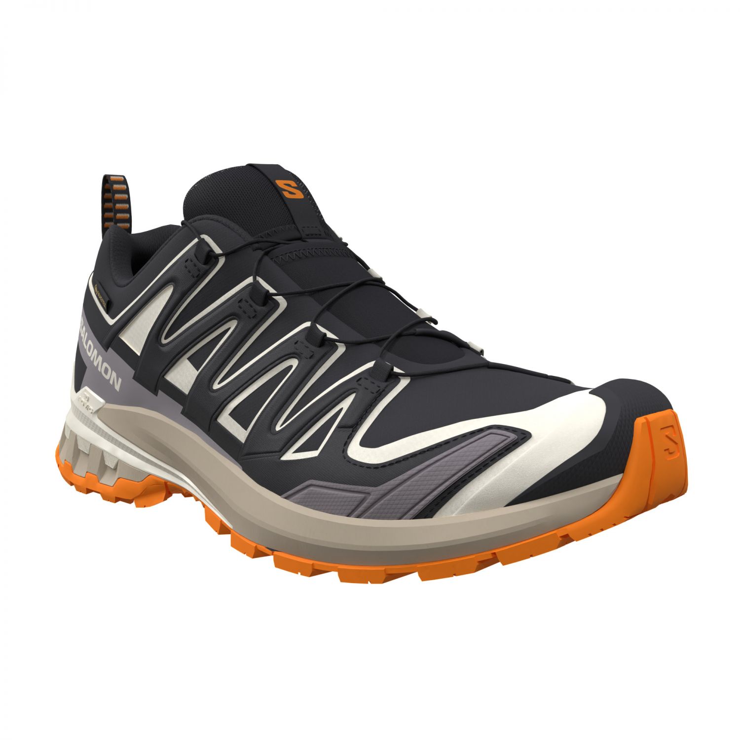 Salomon XA Pro 3D V9 GTX, trailsko, homem, preto