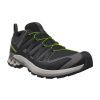 Salomon XA Pro 3D V9, sapatos de trilha, homem, preto/cinzento
