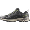 Salomon XA Pro 3D V9, trailové topánky, pánske, čierna/sivá