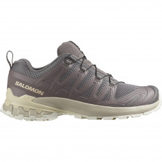 Salomon XA Pro 3D V9, Trailrunningschuhe, Damen, grau