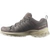 Salomon XA Pro 3D V9, Trailrunningschuhe, Damen, grau