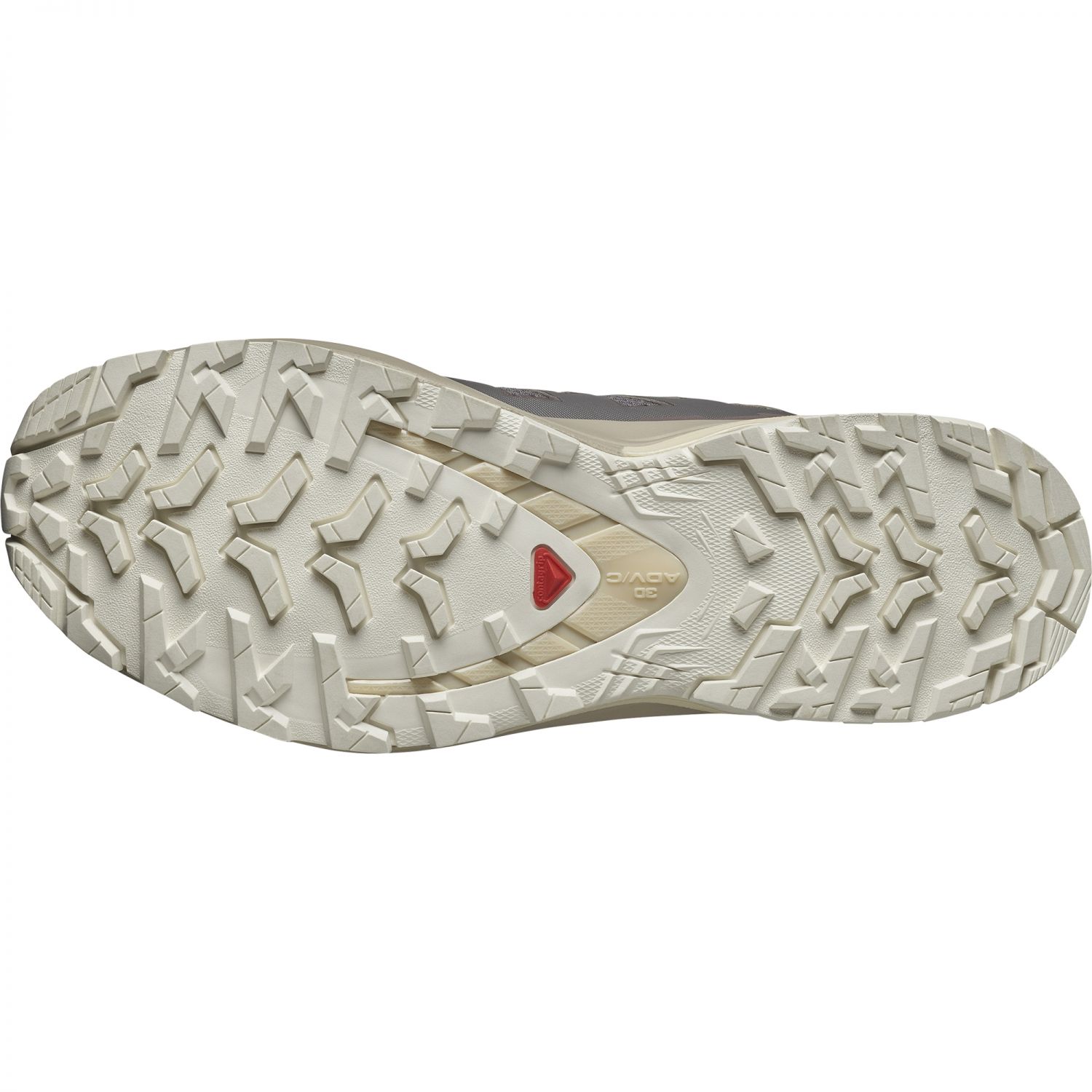 Salomon XA Pro 3D V9, trailschoenen, dames, grijs