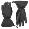 Sealskinz Southery, Skihandschuhe, schwarz