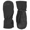 Sealskinz Swaffham, mittens, black