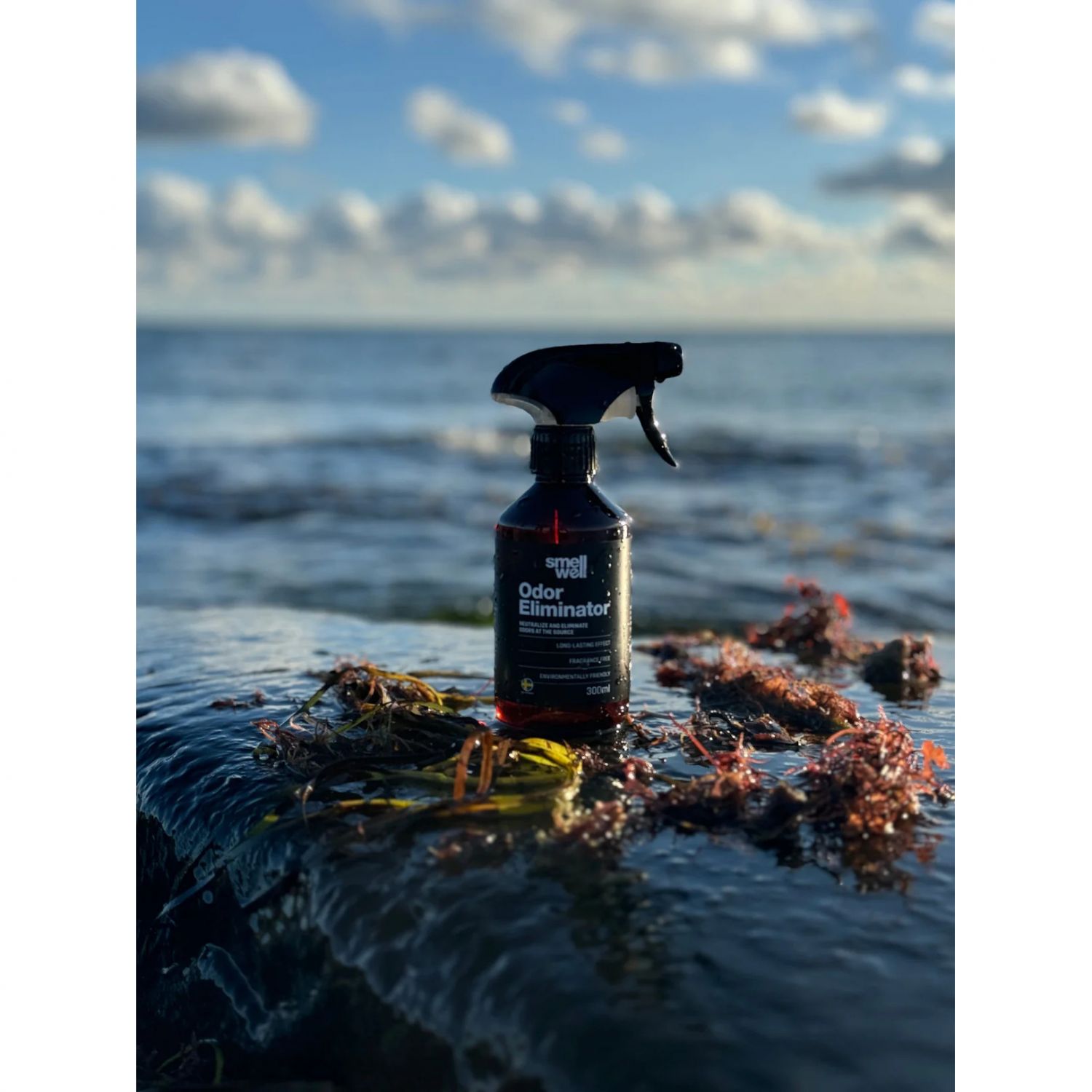 Spray Eliminador de Odores SmellWell, 300ml