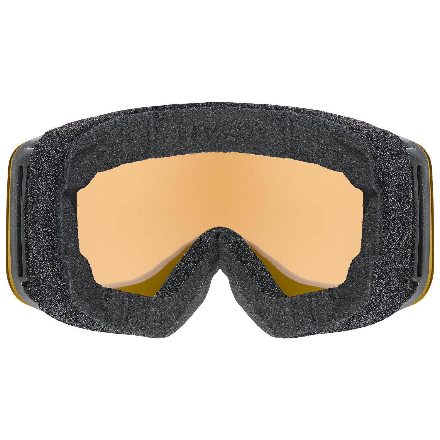 Uvex Pwdr FM, gafas de esquí, negro