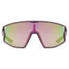 Uvex skyryse, Sonnenbrille, dunkelrot