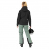 Whistler Drizzle, chaqueta de esquí, mujer, negro