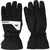 Zanier Cortina GTX, Skihansker, Black